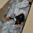 KUSATEC 172599L 172599R Rear Pair Complete Struts Shock Absorber Assemblies fit for 2009-2013 Toyota Corolla Matrix; 2009-2010 Pontiac Vibe, Driver Passenger Side