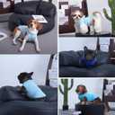 3 Pack Blue Striped T Shirts for Small Dogs,Lightweight Sleeveless Tee Set for Spring&Summer Keep Body Heat After Exercise,Breathable Plain Dog Shirt for Party,Shih Tzu(Blue,S)