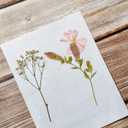 Blotting Paper for Flower Press,20 Sheet 20X26CM (10.23X7.87 Inches) Large Flower Press Paper, Highly Absorbent and Reusable Herbarium