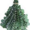 34 Stems Shower Eucalyptus Hanging, 17'' Preserved Dried Eucalyptus Branches for Shower Plant, Bathroom SPA and Home Dcor