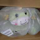Baby Seat for Babies 3 Months & Up, Sit Me Up Floor Seat for Infants, Cartoon Back Head Support Sitting Infant Sofa, Toddler Plush Animal Shaped Learning Sitting Up Chair (Dinosaur), 40 x 40 x 15 cm