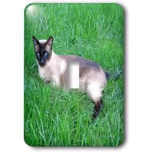 3dRose lsp_4495_1 Siamese Cat Single Toggle Switch
