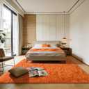 Andecor Shag Area Rug for Living Room, 6x9 Feet Orange Soft Fluffy Indoor Plush Throw Rugs for Bedroom Girls Kids Room Nursery Dorm Home Decor Carpet