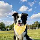 3Pcs Spring Summer Dog Bandanas Reversible Dog Holiday Scarf Adjustable Triangle Pet Bandanas for Medium Large Puppy Pet Decorations