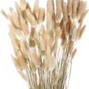 MECCANIXITY 120pcs Natural Rabbit Bunny Tails Dried Flowers 24" Mini Pampas Grass Lagurus Ovatus Bunch for Floral Wedding Decor Christmas, Beige