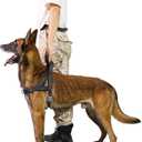 No Pull Dog Harness, Reflective Puppy Harness with Soft Padded Handle, Escape Proof/Quick Fit Adjustable Pet Harness for Small Medium Large Dogs, Easy for Training Walking (Black, S)