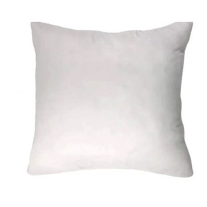 Pillow Insert 20x20