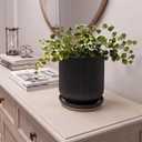 Deep Dream 12 Inch Ceramic Pots for Plants, Heavy Plant Pot for Indoor Outdoor Plants, Large Plant Pot with Drainage Hole and Saucer, Modern Tall Flower Pot, Gifts for Plant Lovers, Black