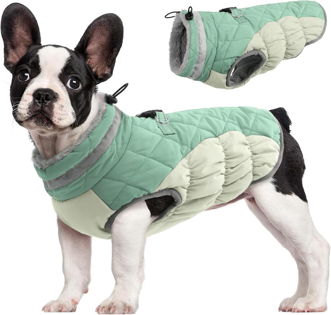 FUAMEY Dog Coat for Small Dogs,Waterproof Dog Winter Jacket with Harness Built in Puppy Cold Weather Coats Reflective Pet Vest with Zipper Warm Fleece Dogs Snowsuit Windproof Mint Green S