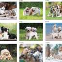 2 x 2026 Desk Calendar & Monthly Planner, Dog Family, Various Dog Breeds and Cute Puppies, Standing Flip, Spiral Binding, Stand-Up Tent,14 Sheets, 8"x 7.9"