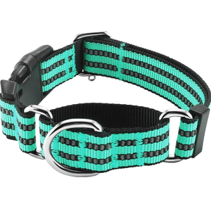Hikiko Martingale Dog Collars Reflective Nylon Dog Collar with Quick Release Buckle Adjustable Training No Slip Dog Collar (Medium, Turquoise)