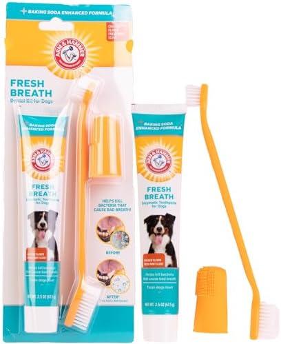 Arm & Hammer for Pets Fresh Breath Enzymatic Dog Dental Care Kit - Includes Dog Toothpaste, Dual Sided Toothbrush and Fingerbrush - Bad Breath Treatment, Chicken Flavor, 2.5 Ounce 2 Packs