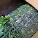 ODTORY Artificial 3D Fake Plant Roll: 40"x120" (33.5 sqft) Grass Wall