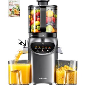 Juicer Machines with 6.5" Large Chute,3-in-1 Cold Press Juicer for Whole Vegetables Fruits 450W, Masticating juicer Easy to Clean Juice Extractor Machine for Making Nut Mike, (Premier Space Gray)