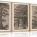 HOURIA Vintage Tree Sketch Framed Canvas Wall Art Set,Natural Brown and Gray Woodland Wall Decor,Mid Century Nature Forest Artwork,Textured Botanical Art Print for Living Room,Bedroom,Office-16"x24"x3