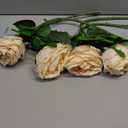 Nubry Artificial Silk Rose Flower Single Stem Lifelike Vintage Fake Rose for Wedding Bouquet Floral Arrangements Home Party Centerpiece Decoration, 4cs (Vintage Champagne)