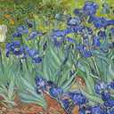 Jigsaw Puzzles for Adults 1000 Piece Irises by Vincent Van Gogh 27.56 x 19.69 Inch Puzzles for Adults Educational Challenge Toy Van Gogh Puzzles 1000 Pieces for Adults
