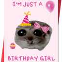 IDU Funny Birthday Cards for Women,Happy 10th 13th 16th 17th 18th 21st 25th 30th 40th Birthday Card Gifts for Girls Friends Wife Girlfriend Sister Bestie,Hamster Meme Birthday Gifts & Decorations (ZN225)