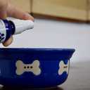 Digest - Decreases Bad Breath and Improves Digestion Naturally (Spray, 2 Ounce)