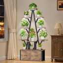 Plant Stand Indoor with Grow Lights - 10 Tiered Plant Shelf with 2 Removable Drawers, 65" Tall Plant Shelf with Grow Light Holds 13 Pot Plants, Christmas Tree Shaped Plant Stand for Home, Living Room