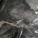 Clear Lunch Bag 40-Can with Adjustable Shoulder Strap for Women/Men, Reusable Lunch Box, Tote Bag Stadium Approved for Work, School, Picnic, Security Check (X-Large) (Black)