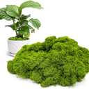 Aspamms Fake Green Moss for Potted Plants Indoor, 5.3oz Artificial Moss for Crafts, Faux Moss Decor for Fairy Garden, DIY Decorative, Model Making, Walls, Glass Containers, Home, Pack Of 2