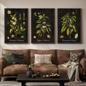 Large Vintage Framed Botanical Wall Art for Living Room, 3 Piece Dark Green Plant Canvas Paintings Prints, Retro Coffee Botanical Leaf Pictures for Dining Room Coffee Bar Kitchen Wall Decor, 24x36 In