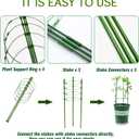 Legigo 3 Packs Plant Support Cages Tomato Cage for Garden- 36 Inch Adjustable Garden Cucumber Trellis Plant Stakes, Trellis Support Rings for Climbing Plants, Pots, Indoor Plants with 10 Plant Clips