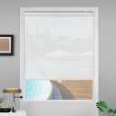 Cordless Light Filtering Roller Window Shades,50" W x 72" H,White