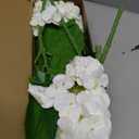 4 PCS Real Touch White Hydrangea Artificial Flowers 20.5", Latex Large Faux Hydrangeas Fake Flowers with Stems Leaves for Family Table Wedding Bouquets Party Centerpieces Home Decor in Vase
