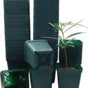 Square Nursery Seedling Pot 3.5 Inches 90 Pcs, Small Nursery Pot Plastic Thick and Sturdy Seed Start Germination Pot for Plant Propagation and Seeding(Green,3.54 Inches, 90Pcs)