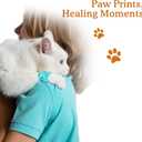 Self-Adhesive Vet Bandage Wrap, First Aid for Dogs & Horses, Multi-Use for Gear Grip & Cable Organizing, Individually Wrapped, 2 Inch, 8 Rolls, Spring Bloom Paw