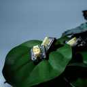 GATERON KS-33 Low Profile Banana Keyboard Switches, Tactile 65gf 3 Pin RGB LED Factory Pre-lubed for MX Mechanical Keyboard (110)