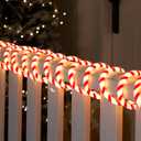 Joiedomi 40FT LED Candy Cane Rope Lights, Waterproof Outdoor 360 LED Christmas Decor Lights for Garden Yard Party Xmas Christmas Holiday Decorations (Red & Warm White)