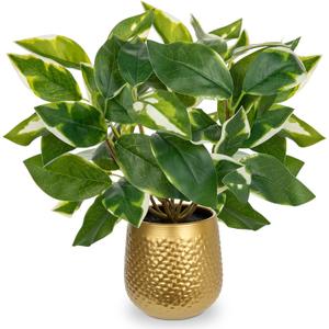 Oairse Articicial Plants Indoor Small Fake Plants in Pots Faux Pothos N Joy Potted Plant Fake Indoor Plants with Gold Pots for Bathroom Living Room Office Desk Shelves