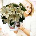 Yellow Christmas Artificial Poinsettia Flowers 8Pack Silk Yellow Poinsettias Artificial Bushes Christmas Flowers 5 Heads Floral Bouquet with Stem for Home Decor