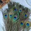 THARAHT 40pcs Peacock Feathers Long Natural in Bulk 30-32 inch 75-80 cm for Vase Craft Vase Wedding Home Party Christmas Day Decoration Peacock Feathers