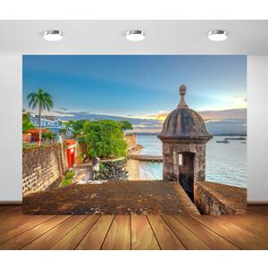 BELECO 9x6ft Fabric Puerto Rico Backdrop San Juan, Puerto Rico Caribbean Coast Along Paseo de la Princesa Background for Party Decorations Home Wall Decor Photo Booth Shoot Studio Props