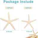 QEQEKAKA 20 PCS Starfish for Crafts 4"- 6" Natural Starfish Decor Bulk | Starfish for Wedding Beach Theme Decor Home DIY Crafts Decor Christmas Tree Starfish Ornaments