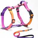 Roses&Poetry Dog Harness with Leash, No Pull Adjustable Harness Leash, Reflective Dog Halter Harnesses Comfort Padded Handle, Pet Walking Harness for Medium DogsMistyrose-M