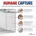 24" Humane Cat Trap for Stray Cats, Collapsible Live Animal Cage for Feral Kittens, Possum, Raccoon, Rabbit, Armadillo Trap Catch and Release by LifeSupplyUSA