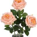 3PCS Real Touch Austin Rose Artificial Flowers 5.1" Large Rose Fake Flowers 23.62'' Long Stem Faux Peonies Flowers Arrangement for Wedding Home Kitchen Party Indoor Outdoor Decor(Champagne)