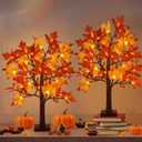 2 Pack Fall Maple Tree Fall Decorations for Home, Battery Operated 24" Tall 24 LED Lights Fall Tree with Timer for Party Tabletop Indoor Outdoor, Thanksgiving Gift Autumn Harvest Home Decor