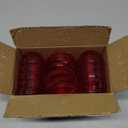 20 Pack Apple Container Christmas Wedding Party Toy Filled Plastic Bobbing Apples Christmas Tree Xmas Decorations Baubles Party Wedding Fruit Ornament Teacher Supplies Favors for Kids