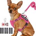 Service Dog Vest for Small Breed Dogs with ID Tag  Lightweight Puppy Harness and Leash Set with 6 PCS Patches, Ideal Service Animal Vest for Training, Complete Service Dog Gear, Hot Pink, M