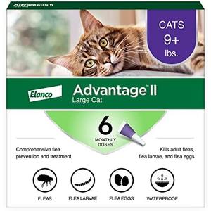 Advantage II Large Cat Vet-Recommended Flea Treatment & Prevention | Cats Over 9 lbs. | 6-Month Supply, Pack of 2