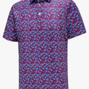 Polo Shirts for Men Short Sleeve Golf Shirts Dry Fit Moisture Wicking Fashion Print Men's Golf Shirt, Medium 