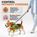 Dog Harness for Small Dogs Back D-Ring Control No Choking Pressure-Free Chest Design Comfortable Padded Adjustable Reflective Vest Harness for Daily Walks Training Easy Control Outdoor Use Secure Fit