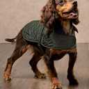 Blanket Dog Coat (18.5in) (Green)