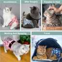 Reusable Cat Diapers 3 Pack With Good Absorbency for Small Female & Male Kittens - Easy to Put On, Adorable, Secure Fit (L)